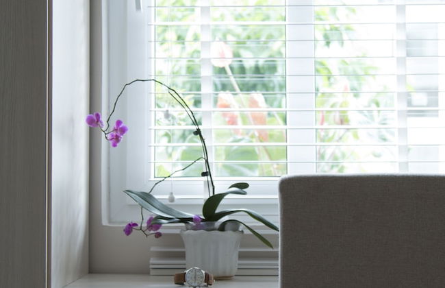 Anada Serviced Apartments In Dalat - Photo 18