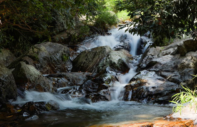 Du An Garden Retreat Forest - Photo 16