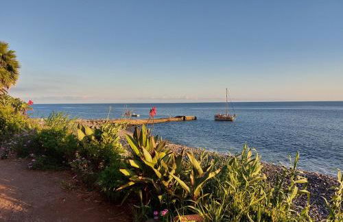 Fajã dos Padres - Foto 67