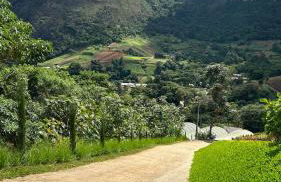 Villa Zarandi - Luxo e conforto que você procura! - Foto 65