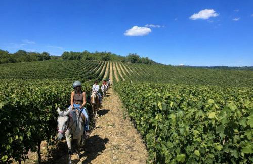 Case vacanza "LA FORNACE" - Foto 43