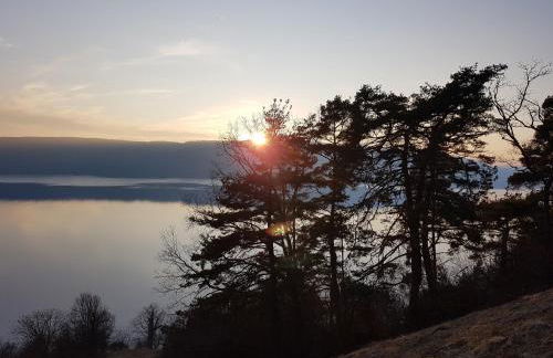 Historisches Fachwerkhaus "Hoher Hirschen" mit romantischem Hof und Garten - Charmantes Studio und grosses, museales Apartment - Foto 16