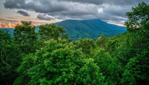 Pretty Spectacular - Foto 4