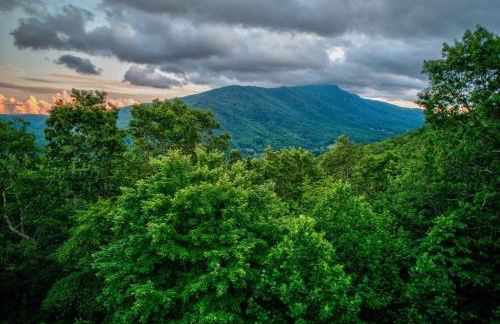 Pretty Spectacular - Foto 4