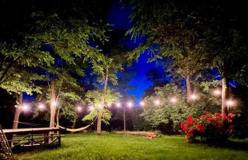 Appartamento immerso nella natura, silenzio e riservatezza a 550 m di quota - Foto 22