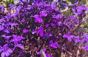 Casa Marietta - Foto 24