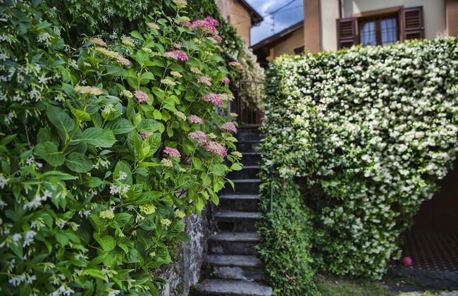 Villa Margherita by Wonderful Italy - Photo 55