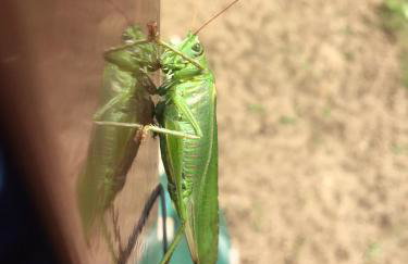 Drift Away - Foto 42