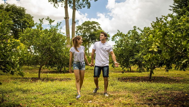 The Lodge at Uxmal - Foto 4