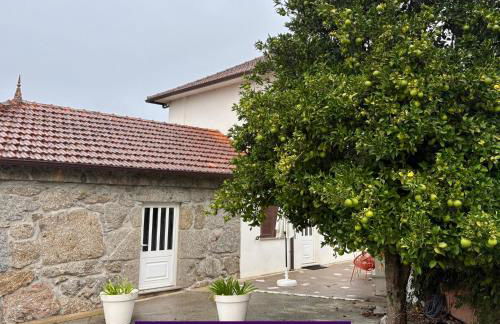 Casa Outeiro 99 - Foto 60