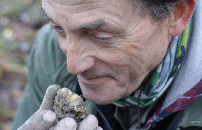 Tour da trufa por Alba - Foto 5