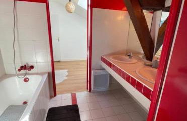 Grand Appartement Hypercentre avec Terrasse et Parking - Foto 14