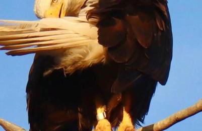 Luxury Living at The Eagles Perch Palmer AK - Foto 17