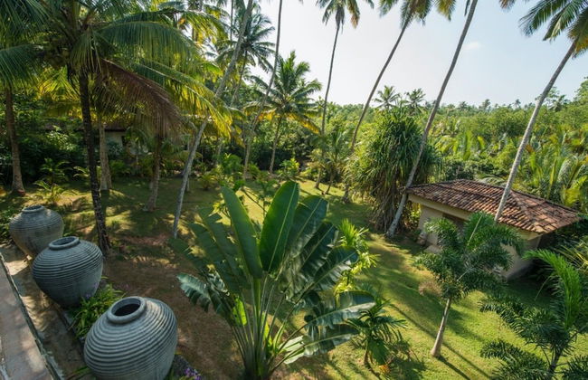 Modern Luxury 03 Bedroom Villa - Photo 16