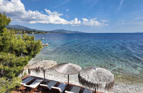 Luria Homes - Photo 116