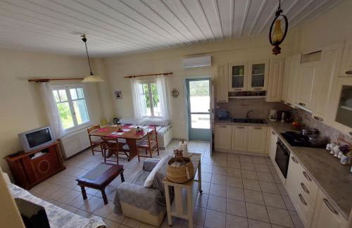 Palaiokrassa sunny appartment - Foto 1