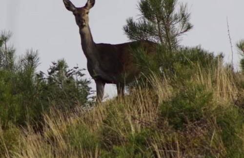 Casa Beatriz - Foto 42
