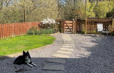 Rural, Secure Garden, Woodland Walks, 23 min to beach - Foto 23