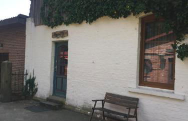 Biogut Evensen - Foto 15