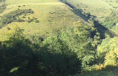 The Lodge - Photo 38