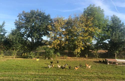 Ostseebauernhof Familie Jäger - Foto 11