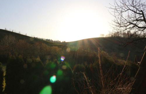 Ferienapartment Huber - Foto 22