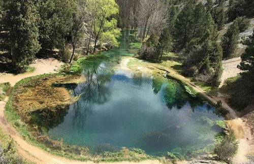 tranquilidad y en contacto con la naturaleza - Foto 26