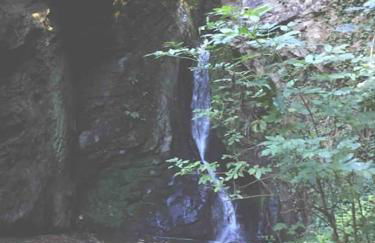 Wohnen direkt am Moselstrand - Foto 69