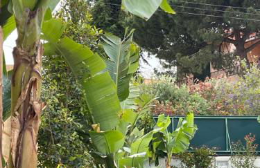 Retreat Villa, Full Amenities, up to 40ppl - Foto 29