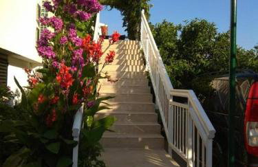 Amphora Deluxe - Foto 73