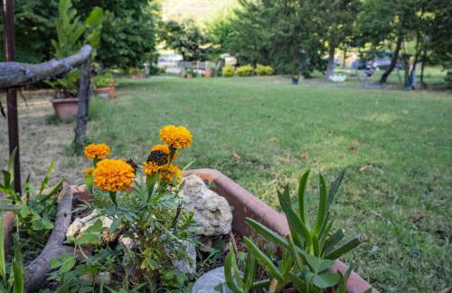 Italian Experience- Podere Vallino - Foto 18