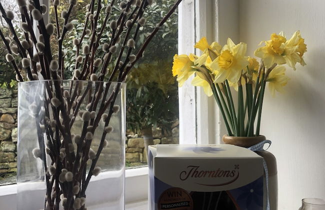 Scalby Grove Cottage Stunning 3 Bed Cottage - Foto 7