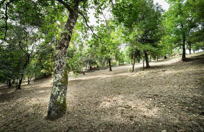 Serraiola Alta - Foto 55