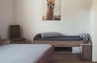 Ferienwohnung Sternenzelt Alpakas - Natur & Tiere hautnah erleben - Foto 16