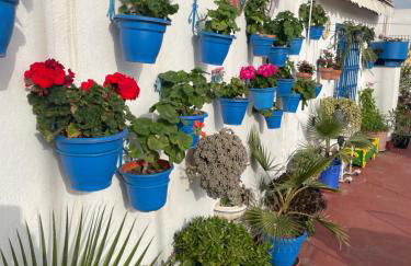 Arco MacarenA - Foto 36