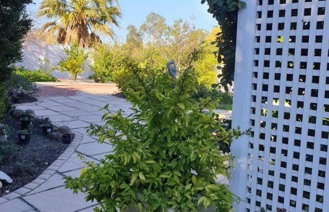 Room-the Annex Roosboom Luxury Studio - - Photo 9