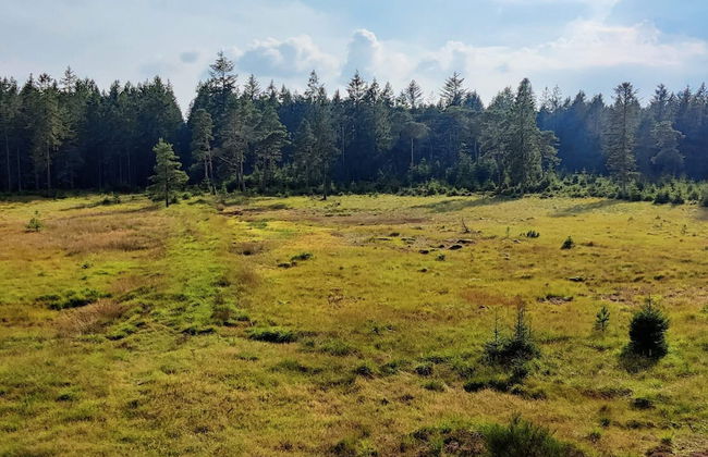 6 Person Holiday Home in Bording - Foto 21