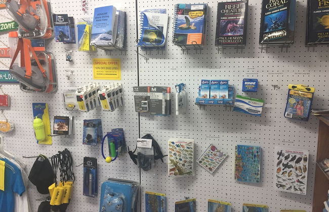 Coral Paradise Resort - Foto 6