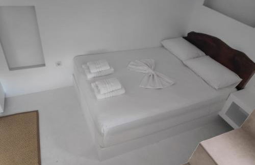 Aletri & Orgoma - Foto 15