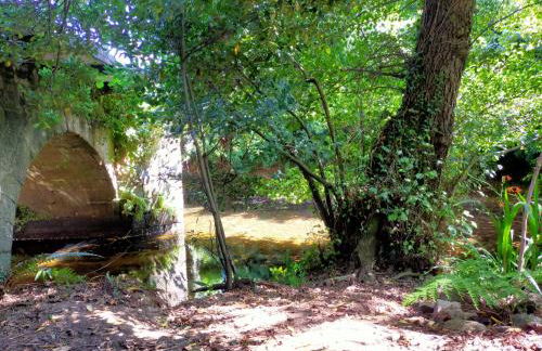 Templo do Río - Foto 14