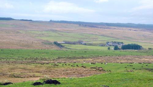 Felbrook Cottage - Foto 4