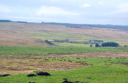 Felbridge Cottage - Foto 8