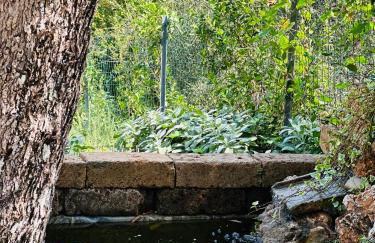 Villa Daniela - Foto 44