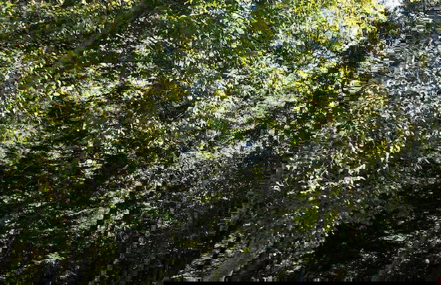 3BedroomApt Pool CampFire PlayArea - Photo 18