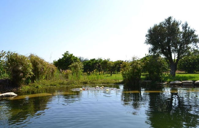 Nice Apartment in Santa Luzia - Foto 11