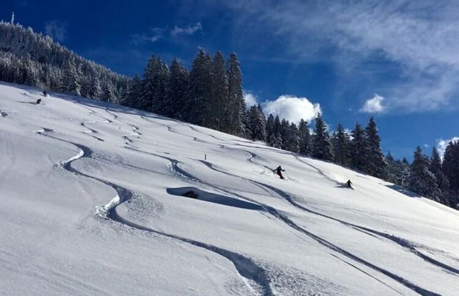 Apartment in Hippach Near Mayrhofen Ski Area - Foto 25