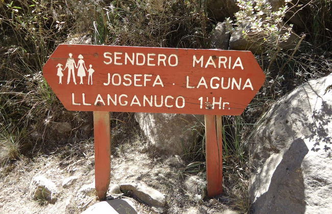 Excursion d’une journée au parc national de Huascarán - Photo 3