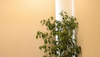 Casa do Alto - Foto 5