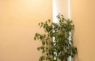 Casa do Alto - Foto 5