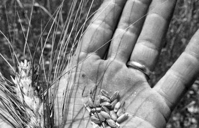 Masseria San Cosimo - Foto 25